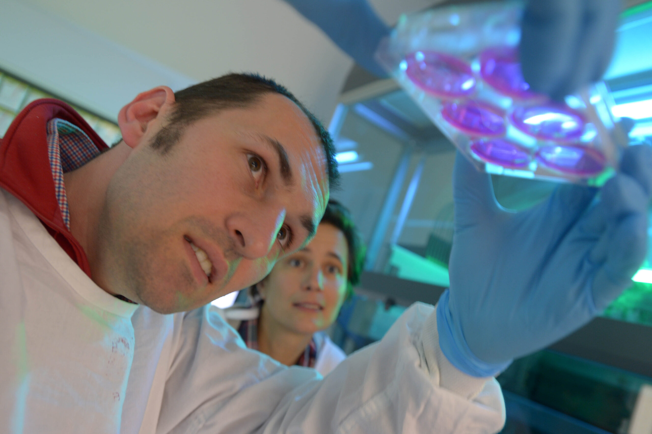 Discovering treatments to beat blindness