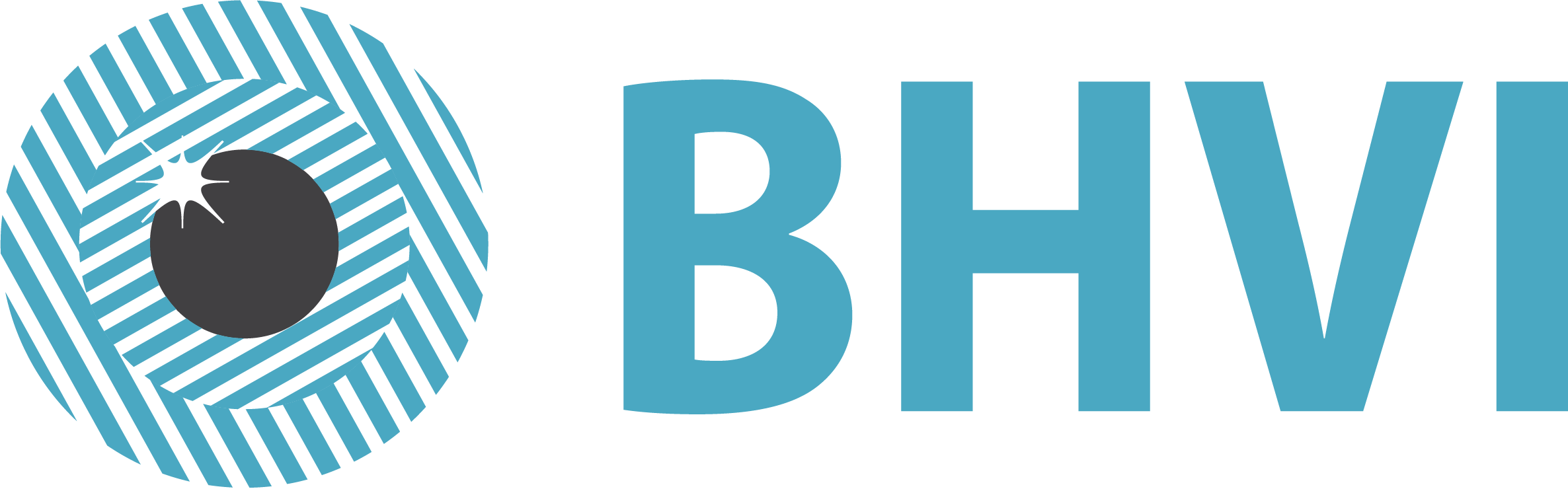 Brien Holden Vision Institute logo