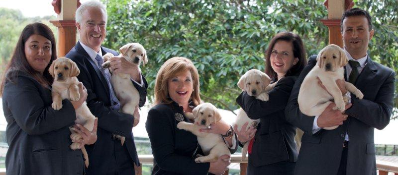 Interview with Karen Hayes Chief Executive Officer, Guide Dogs Victoria